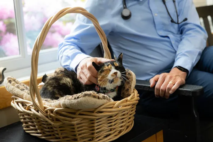 Harlingen Veterinary Clinic 3