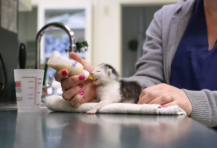 Harlingen Veterinary Clinic 9