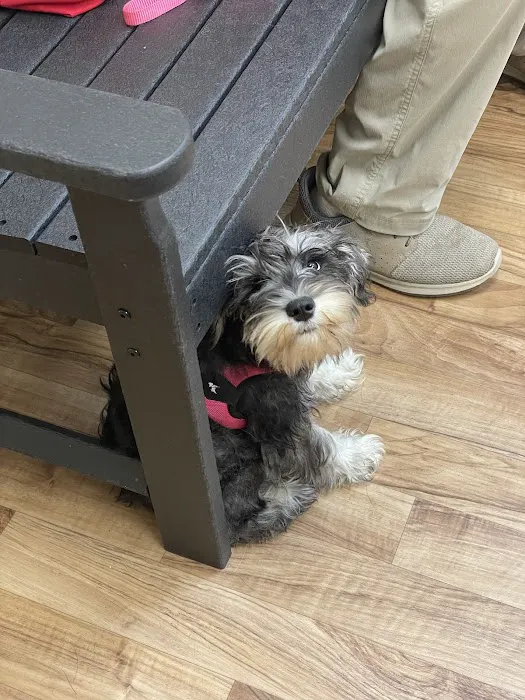 Harlingen Veterinary Clinic 8