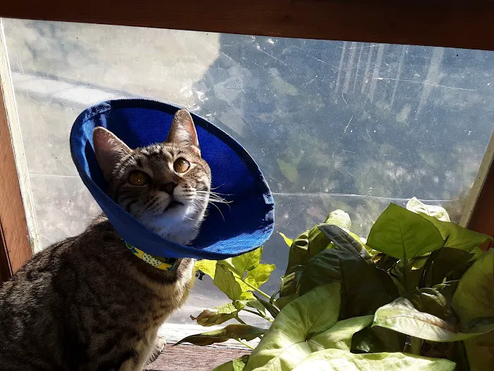 Belle Mead Animal Hospital 5