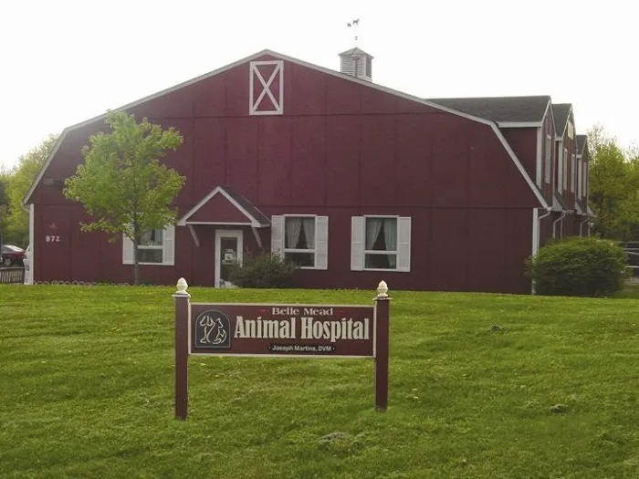 Belle Mead Animal Hospital 1