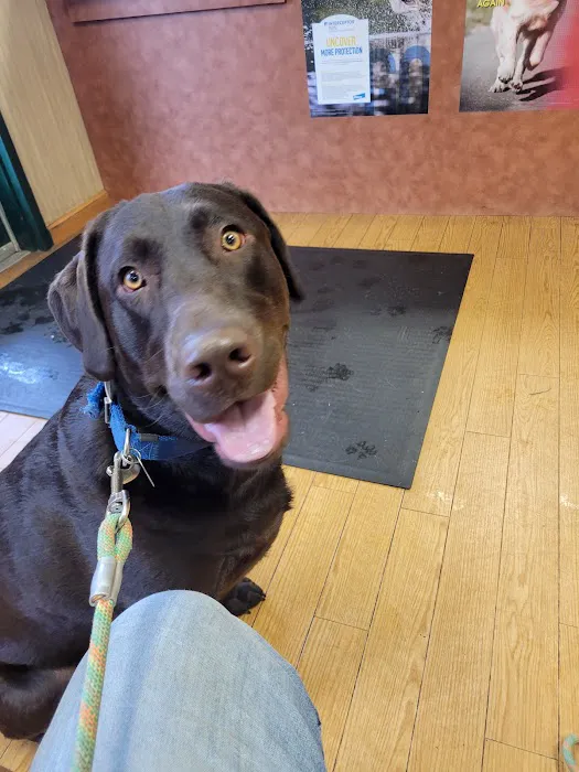 Belle Mead Animal Hospital 2