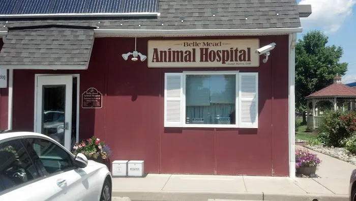 Belle Mead Animal Hospital 6