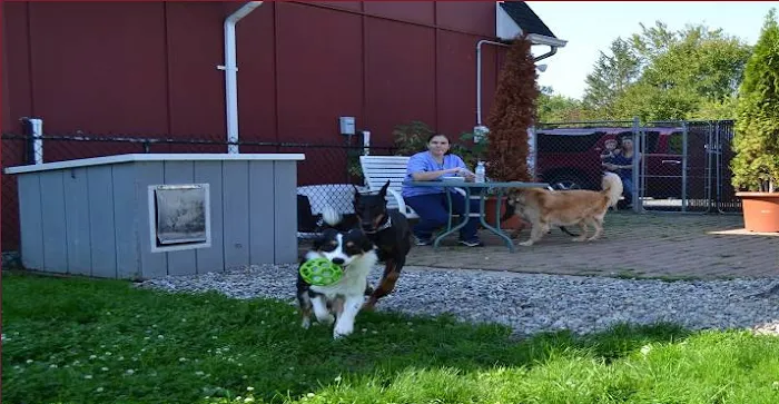 Belle Mead Animal Hospital 7