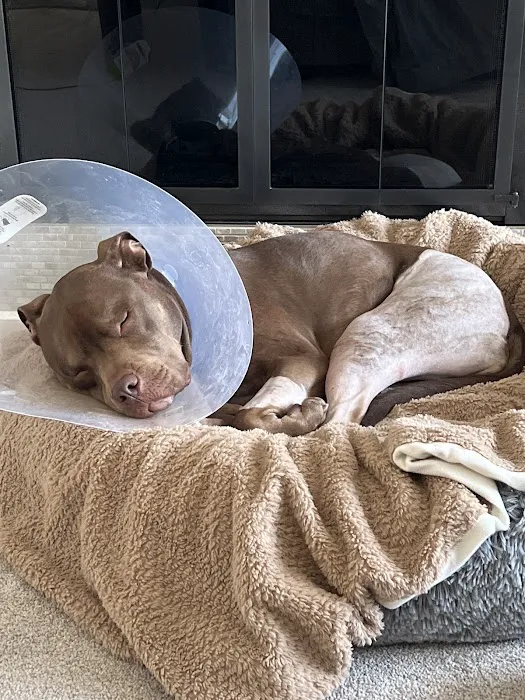 Red Bank Veterinary Hospital (RBVH) - Hillsborough 6