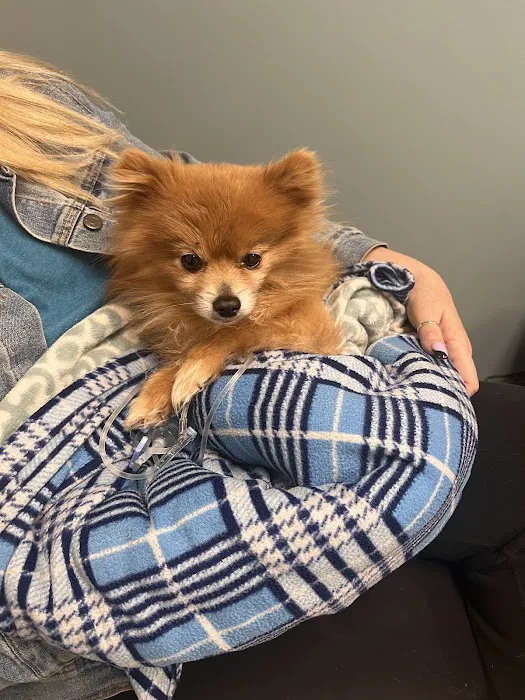 Red Bank Veterinary Hospital (RBVH) - Hillsborough 5