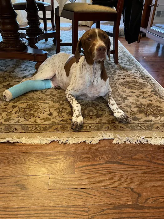 Red Bank Veterinary Hospital (RBVH) - Hillsborough 7