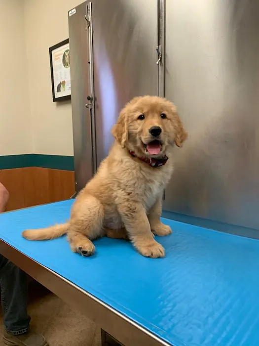 Red Bank Veterinary Hospital (RBVH) - Hillsborough 9