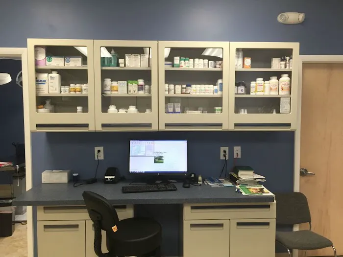 Faith Veterinary Clinic Services 2
