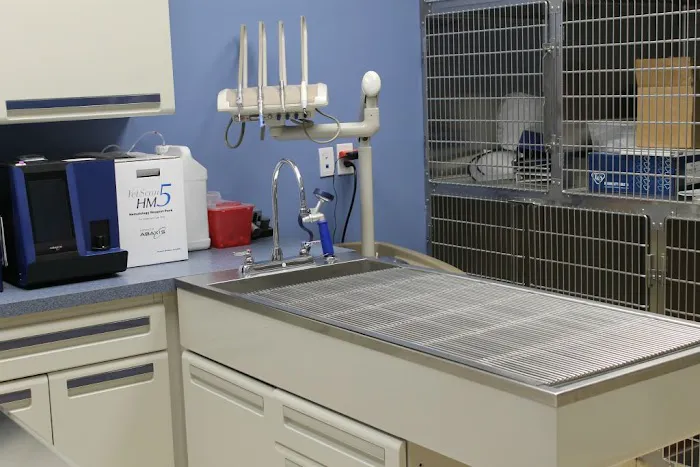 Faith Veterinary Clinic Services 6