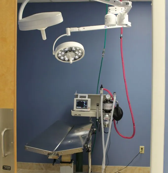 Faith Veterinary Clinic Services 1