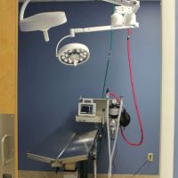 Faith Veterinary Clinic Services ico