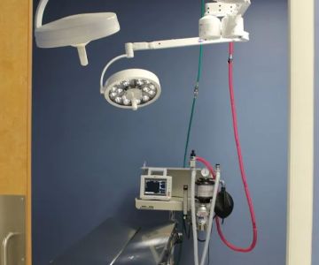 Faith Veterinary Clinic Services