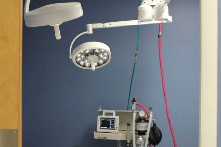 Faith Veterinary Clinic Services