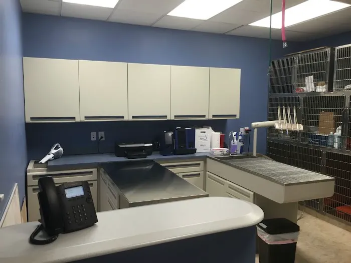 Faith Veterinary Clinic Services 9