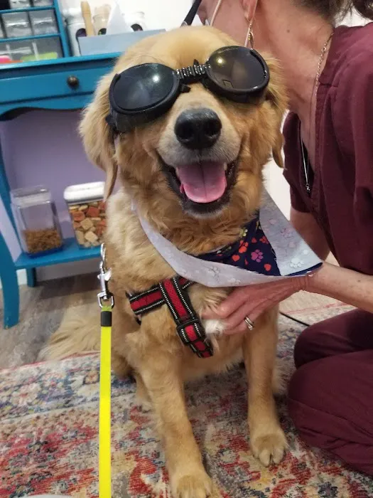 Kindred Integrative Veterinary Services 4