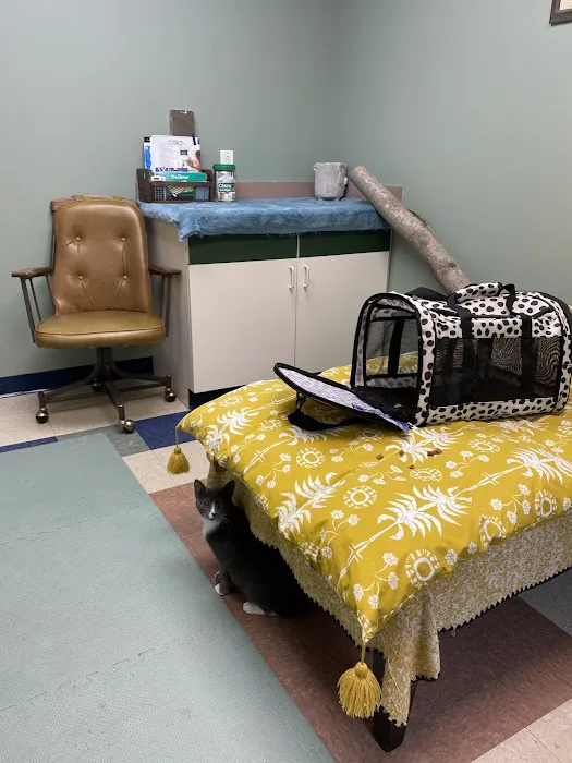 Kindred Integrative Veterinary Services 7
