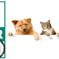 Patt Veterinary Hospital ico
