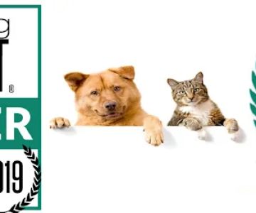 Patt Veterinary Hospital