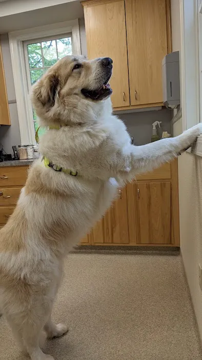 Patt Veterinary Hospital 8