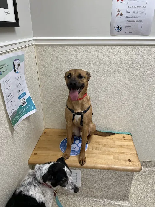 Patt Veterinary Hospital 10