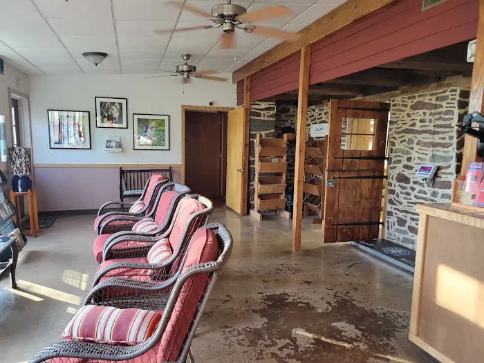Runaway Farm Pet Hospital 10