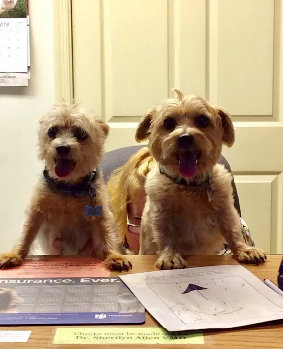 Ironstone Veterinary Hospital 5
