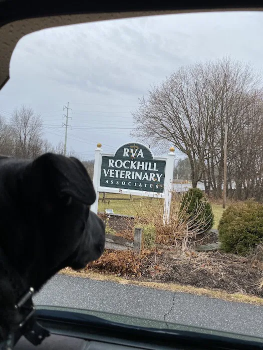 Rockhill Veterinary Associates 1