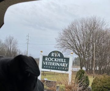 Rockhill Veterinary Associates