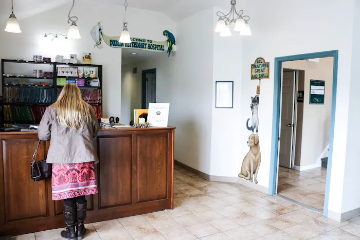 Dublin Veterinary Hospital 7