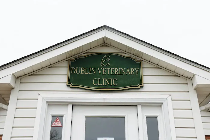 Dublin Veterinary Hospital 10