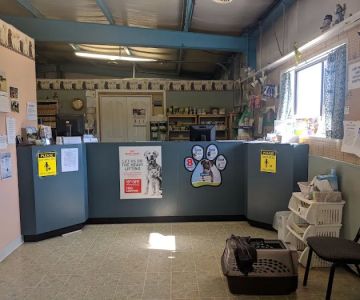 Durham Valley Vets