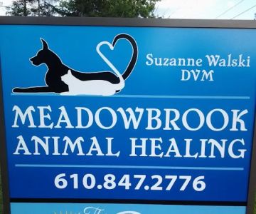Meadowbrook Animal Healing
