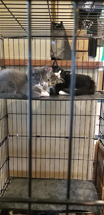 Pennridge Animal Hospital 1