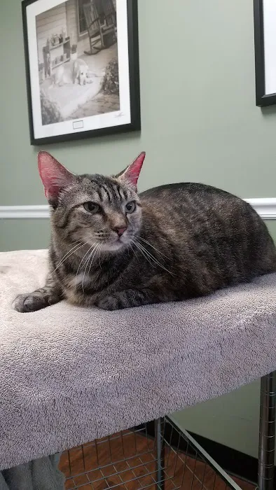 Pennridge Animal Hospital 5