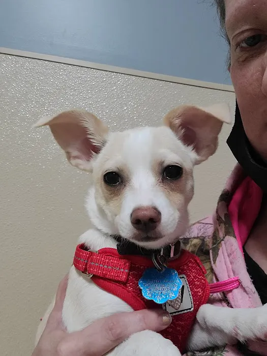 Frankfort Animal Hospital 12