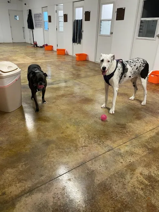 Frankfort Animal Hospital 12