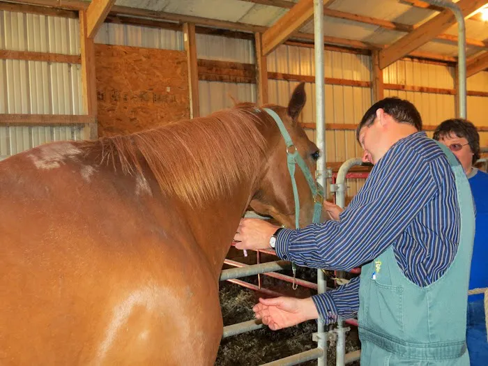 Wayside Veterinary Clinic 12