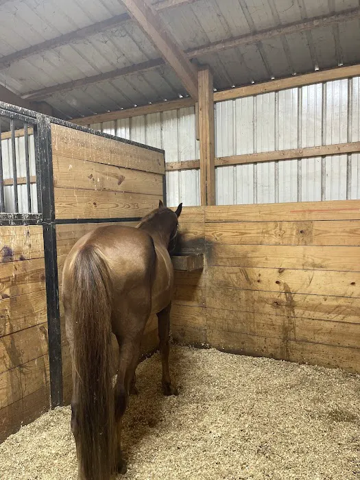 Wayside Veterinary Clinic 12