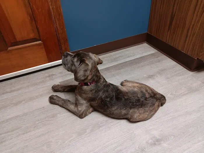 Tri-County Veterinary Clinic 12