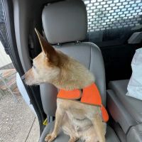 Tri-County Veterinary Clinic ico