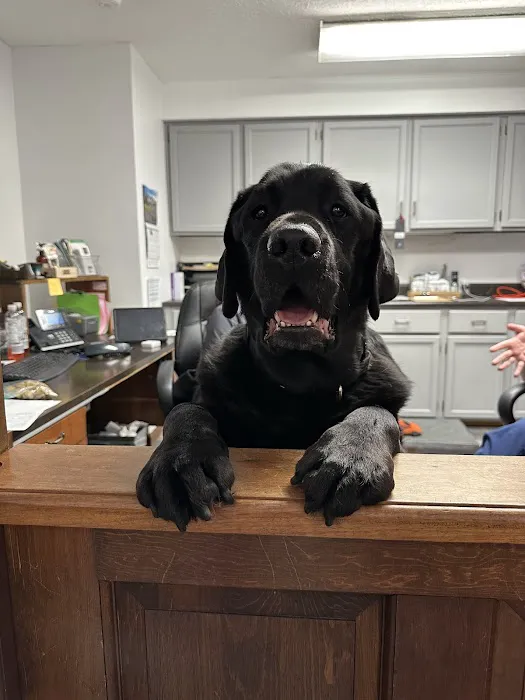 Tri-County Veterinary Clinic 12