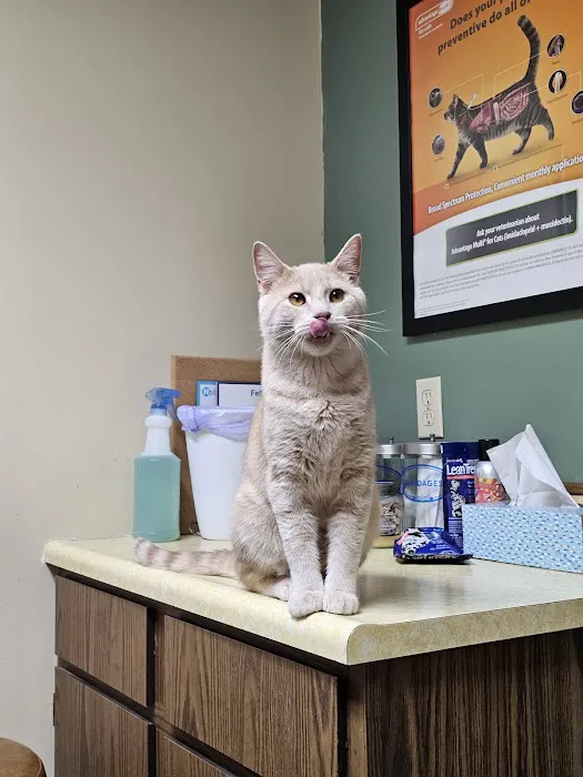 Tri-County Veterinary Clinic 12