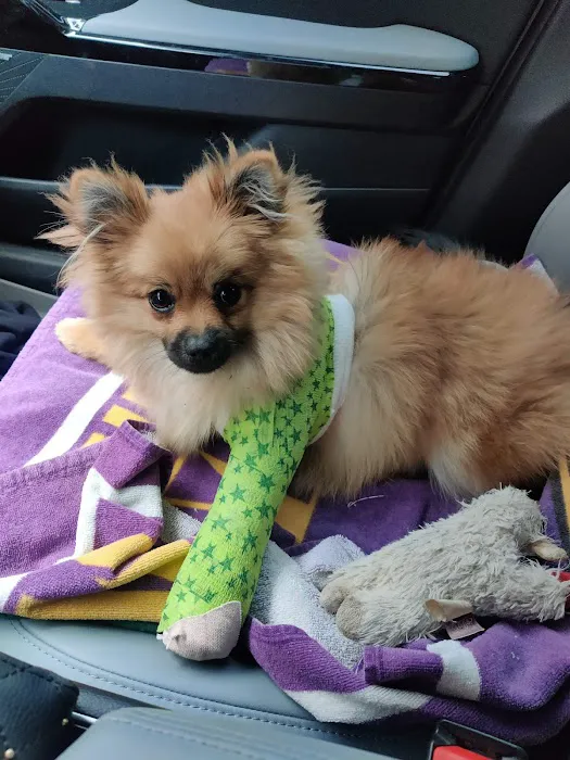 Wildcat Valley Animal Clinic 3