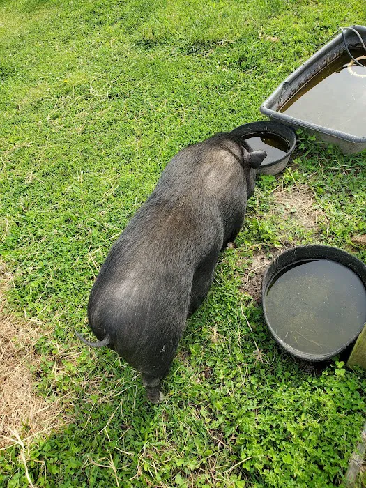 Wildcat Valley Animal Clinic 6
