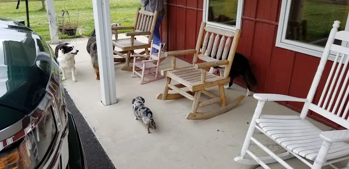 Wildcat Valley Animal Clinic 8