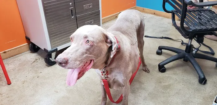 Wildcat Valley Animal Clinic 7