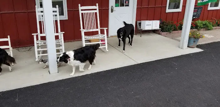 Wildcat Valley Animal Clinic 4