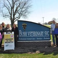 Bush Veterinary Services ico