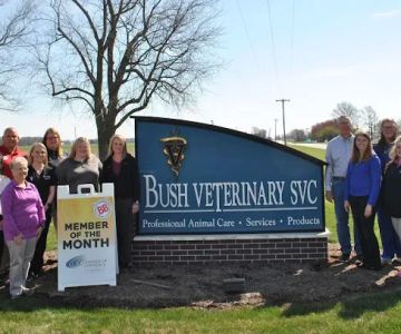 Bush Veterinary Services